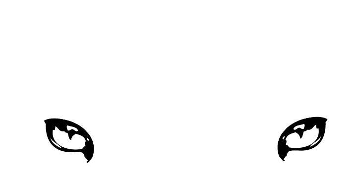 SpaceCats - Willkommen im Weltall?